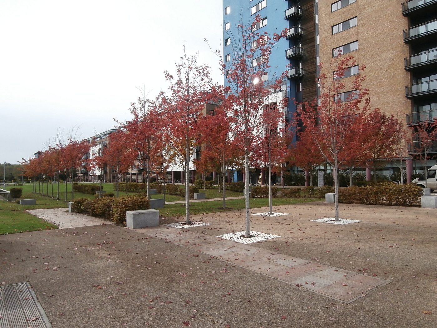Prospect Place & Ferry Court: The Ferry Court blocks behind autumn trees, 3,264px wide
